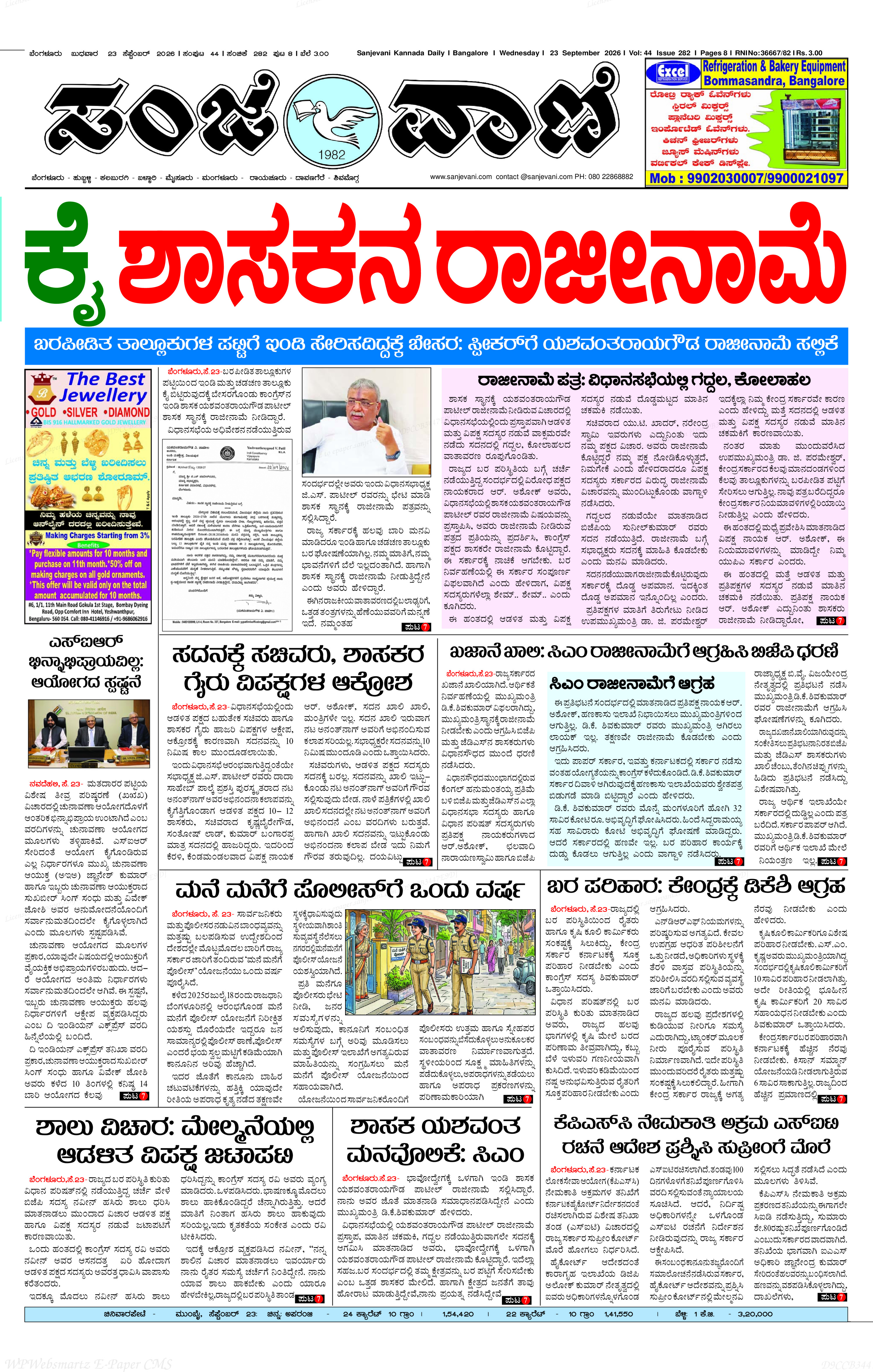 Page 3