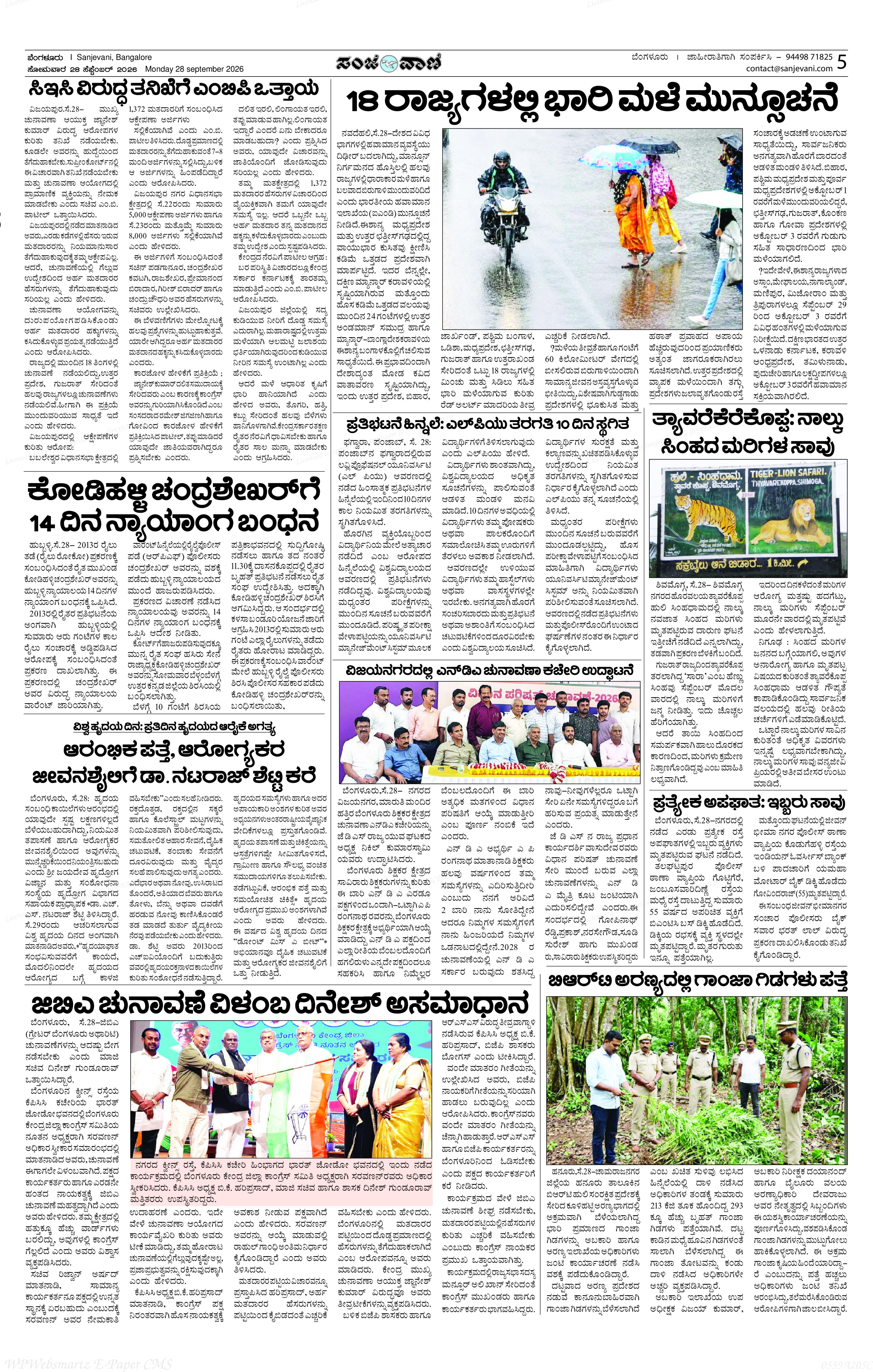 Page 5