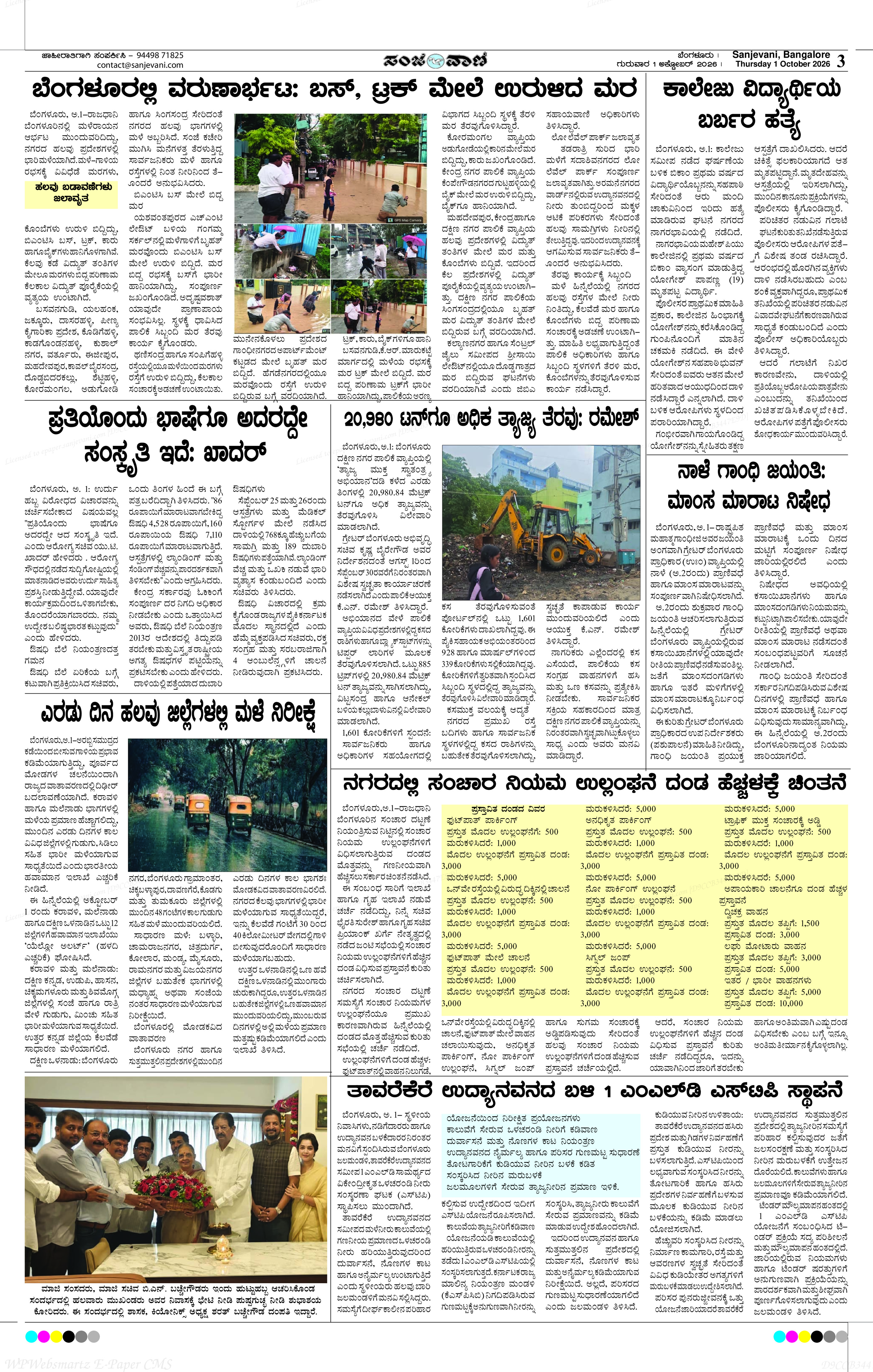 Page 3